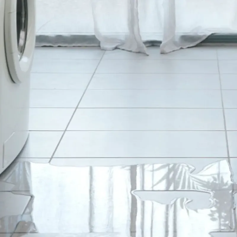 Appliance Leak Cleanup in Medical Lake, WA