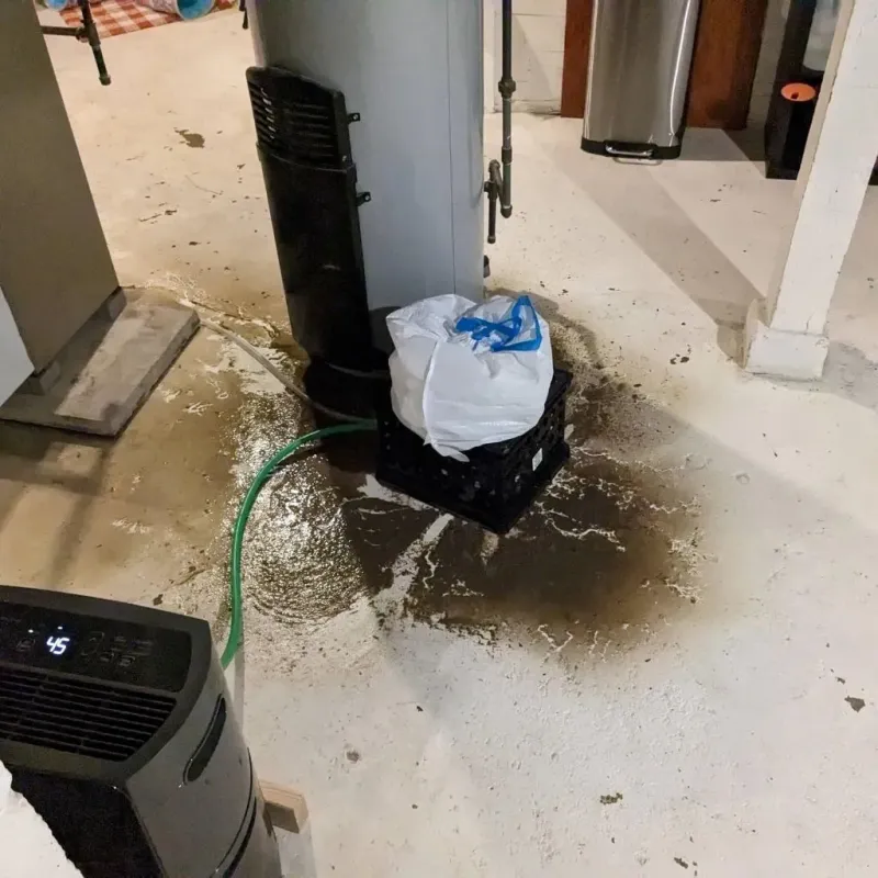 Sewage Backup Cleanup Service in Medical Lake, WA